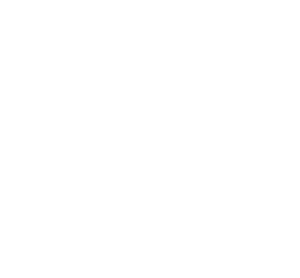 bis2
