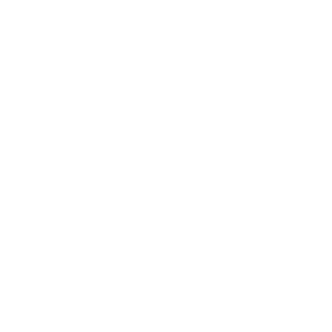 dws1